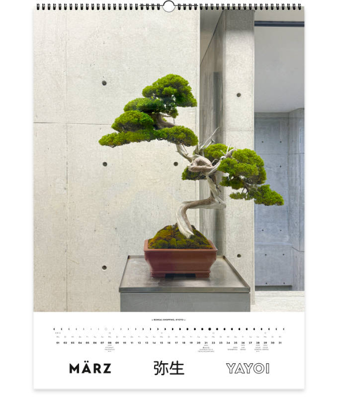Der Japan Kalender 2027 - Monatsblatt März